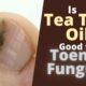 Best essential oils for combating fungal infections